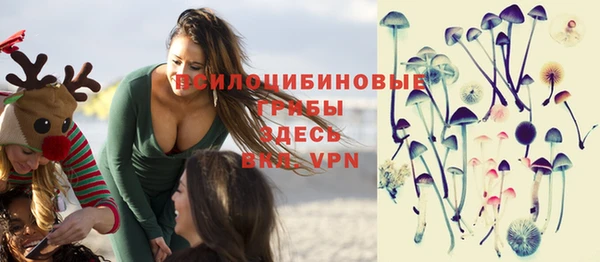 spice Алзамай