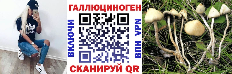 Галлюциногенные грибы прущие грибы  это состав  Саки  продажа наркотиков 