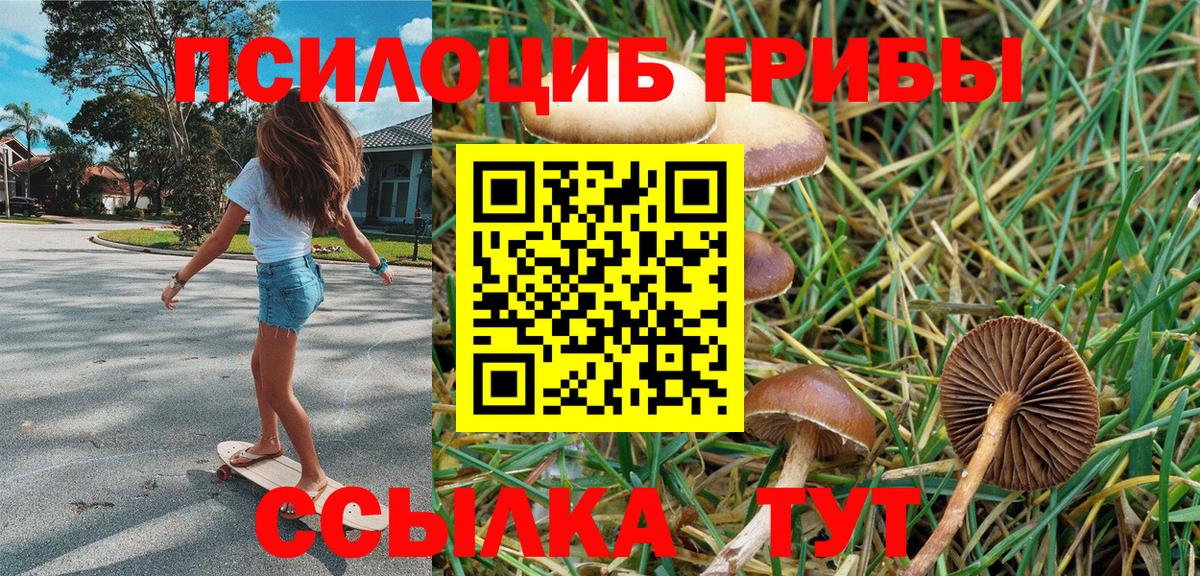 Псилоцибиновые грибы Magic Shrooms Саки