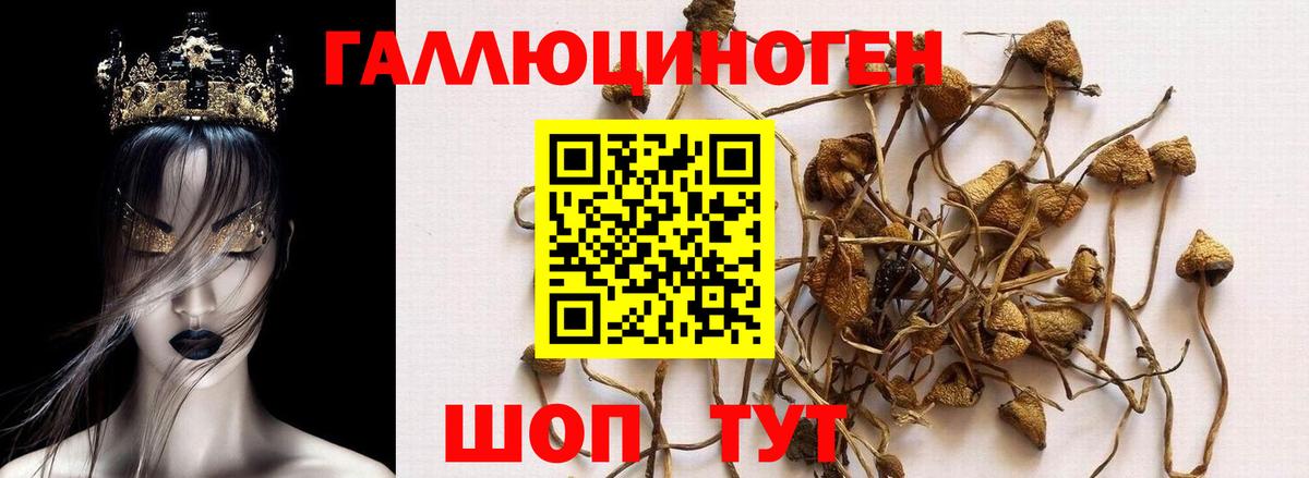Псилоцибиновые грибы мухоморы  Вход с VPN  Галлюциногенные грибы GOLDEN TEACHER  Саки 